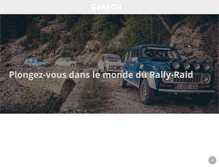 Tablet Screenshot of gekkoil.com